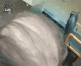 157136235188049.gif