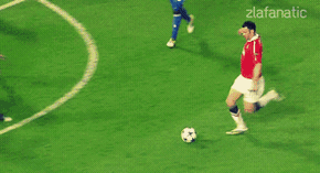 157136332887231.gif