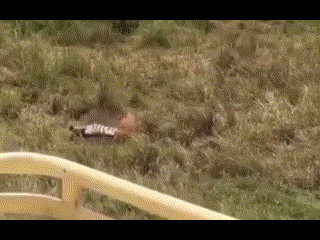 157166188268043.gif