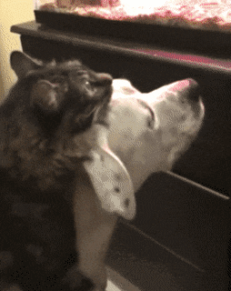 157166199415649.gif