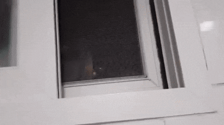 157166276098072.gif