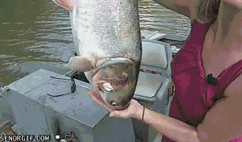 157189046635982.gif