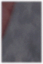 157195555590477.gif