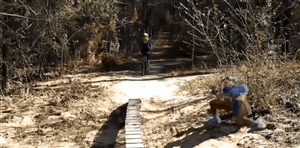 157196745710553.gif