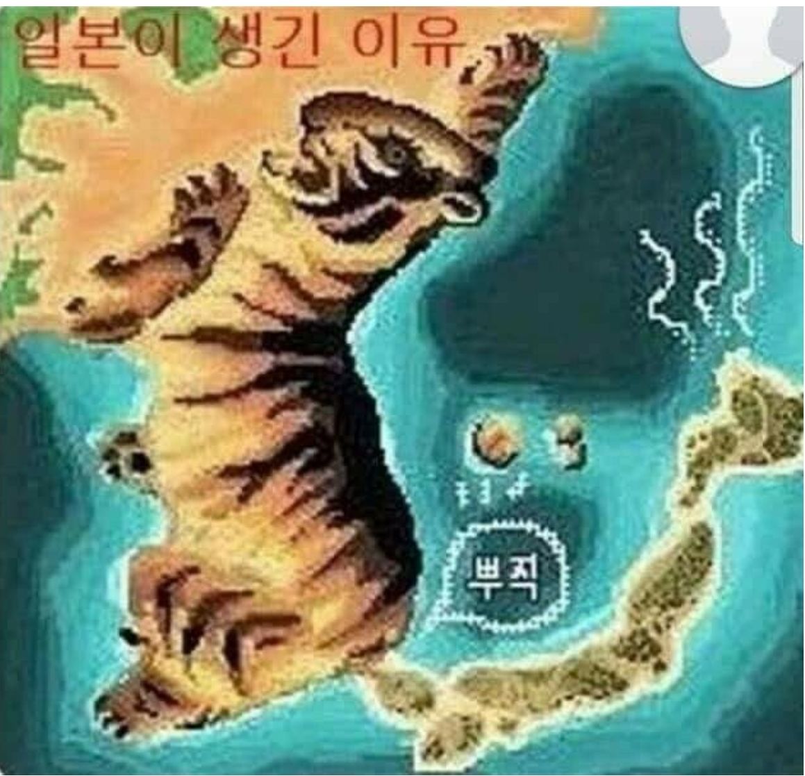 157204927570141.jpg