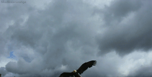 157205040520839.gif