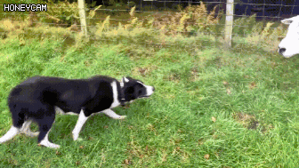 157205153925732.gif