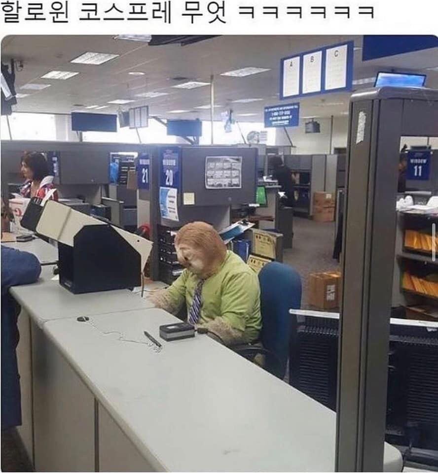 157243600695283.jpeg