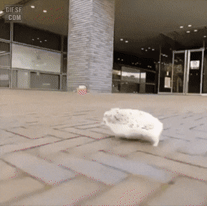 157252720326887.gif