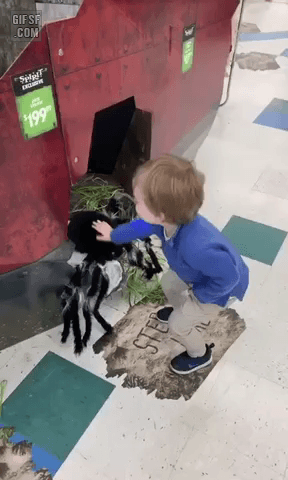 157253345727216.gif