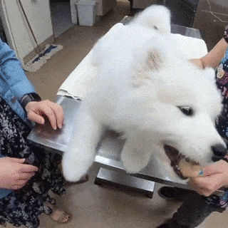 157253381421422.gif