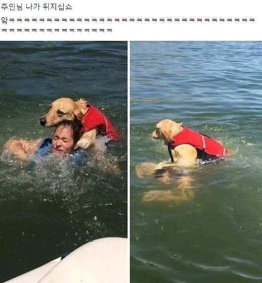 157263533197632.jpg