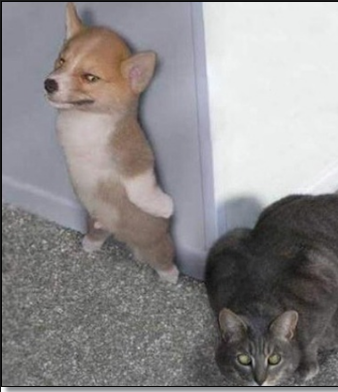 157291267912958.png