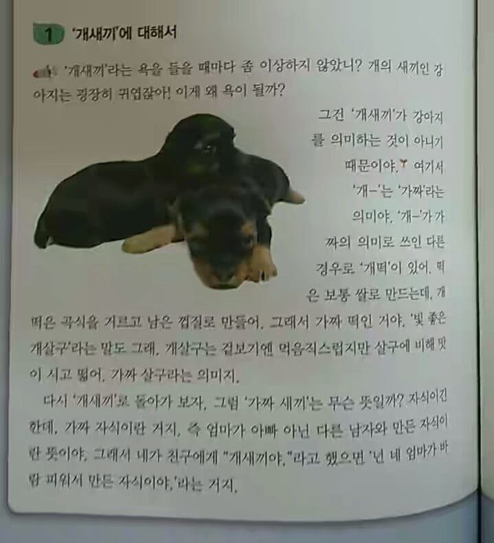 157300070397883.jpg