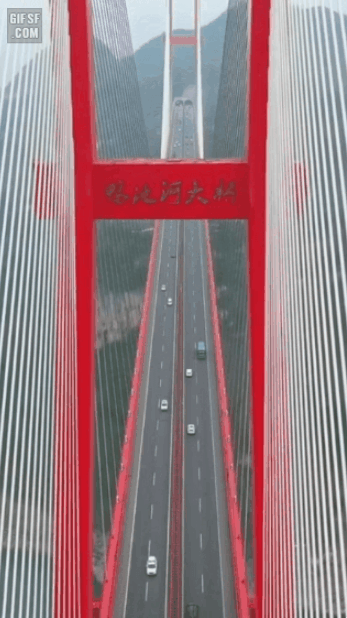 157301913818817.gif