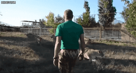 157304522985424.gif