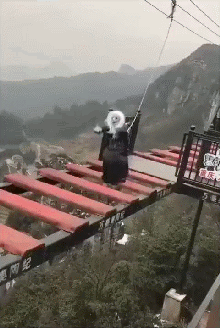 157322606646294.gif