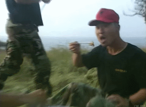 157337465967008.gif