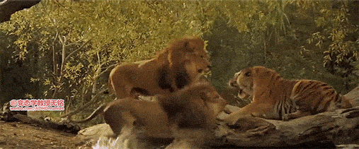 157338030980664.gif