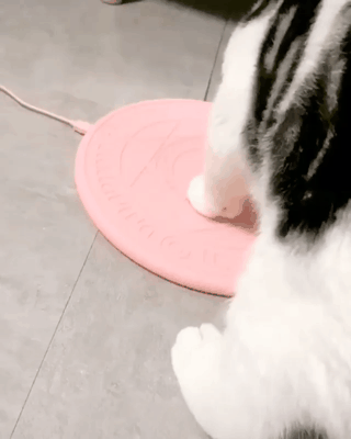 157338401911525.gif