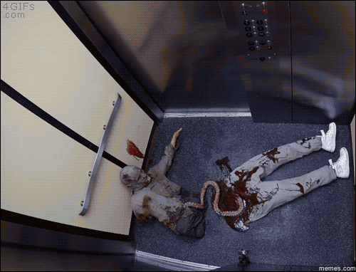 157338501045691.gif