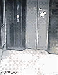 157338542899569.gif