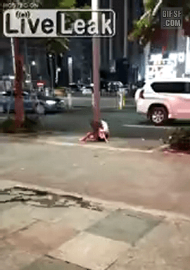 157338592590056.gif