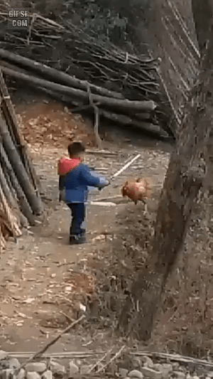 157363513099719.gif