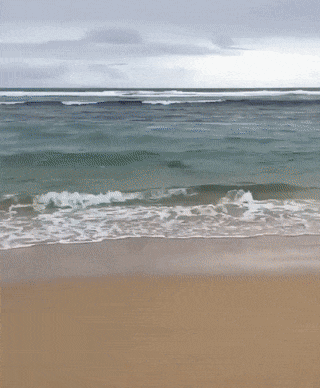 157363570618810.gif