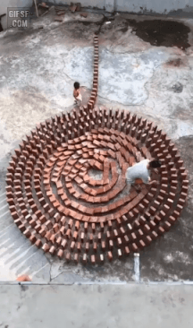 157363703171302.gif