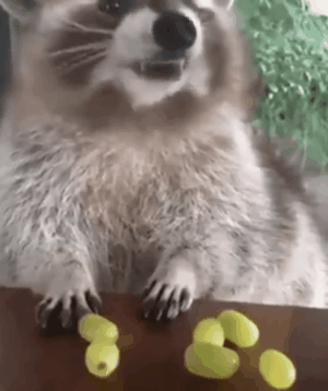 157363716124636.gif