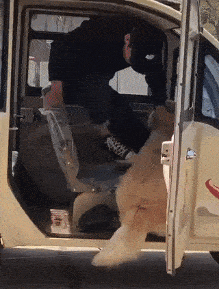 157389972727337.gif