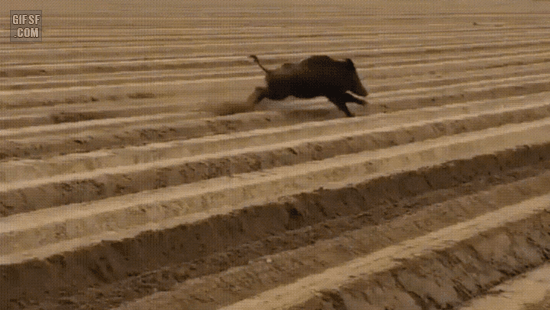 157400725862926.gif