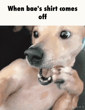 157403565082500.gif