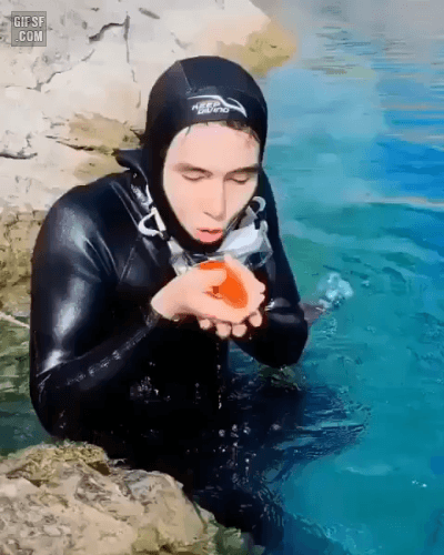 157403571928990.gif