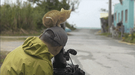 157432239012868.gif