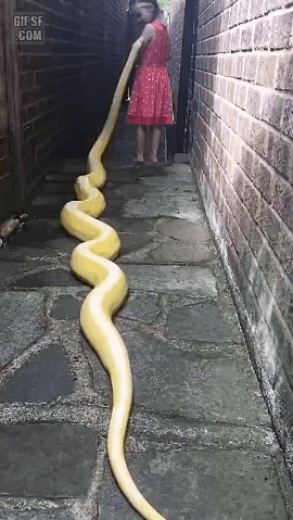 157433102358907.gif
