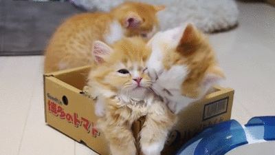 157433102839150.gif