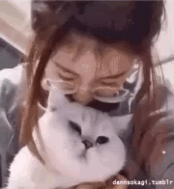 157459241139236.gif