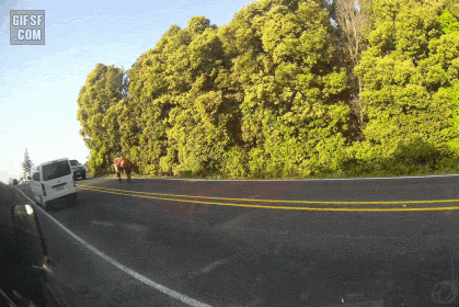 157494263182733.gif