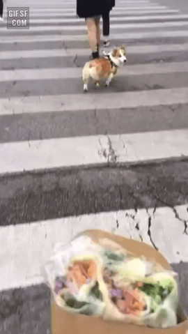 157507800082317.gif