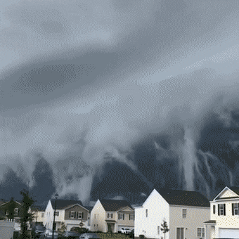 157563929869720.gif