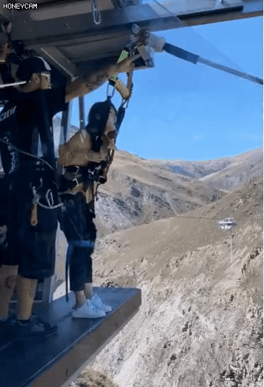 157597784596607.gif