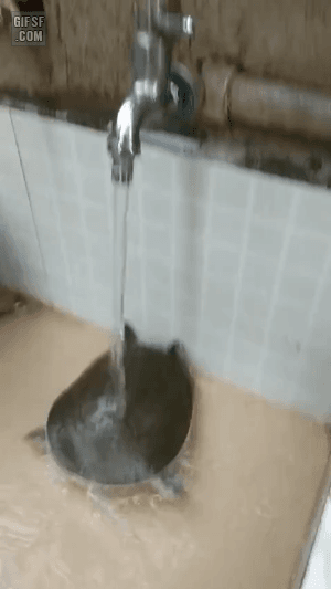 157611073741806.gif