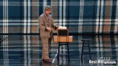157611154838958.gif