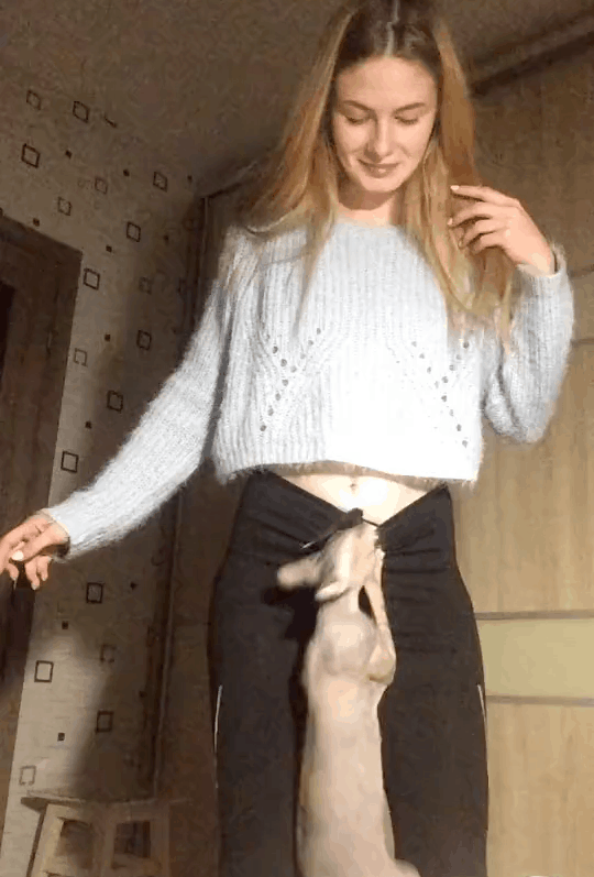 157619785632322.gif