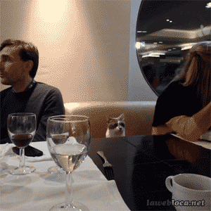 157620947326737.gif