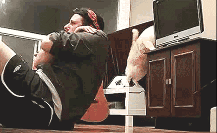 157620949565370.gif