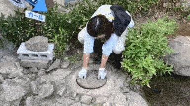 157620991522492.gif