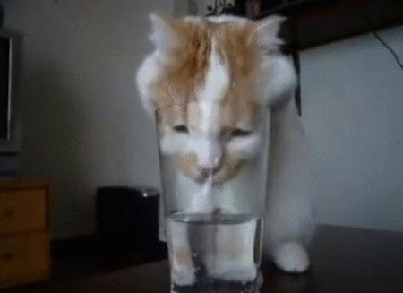 157621078657510.gif